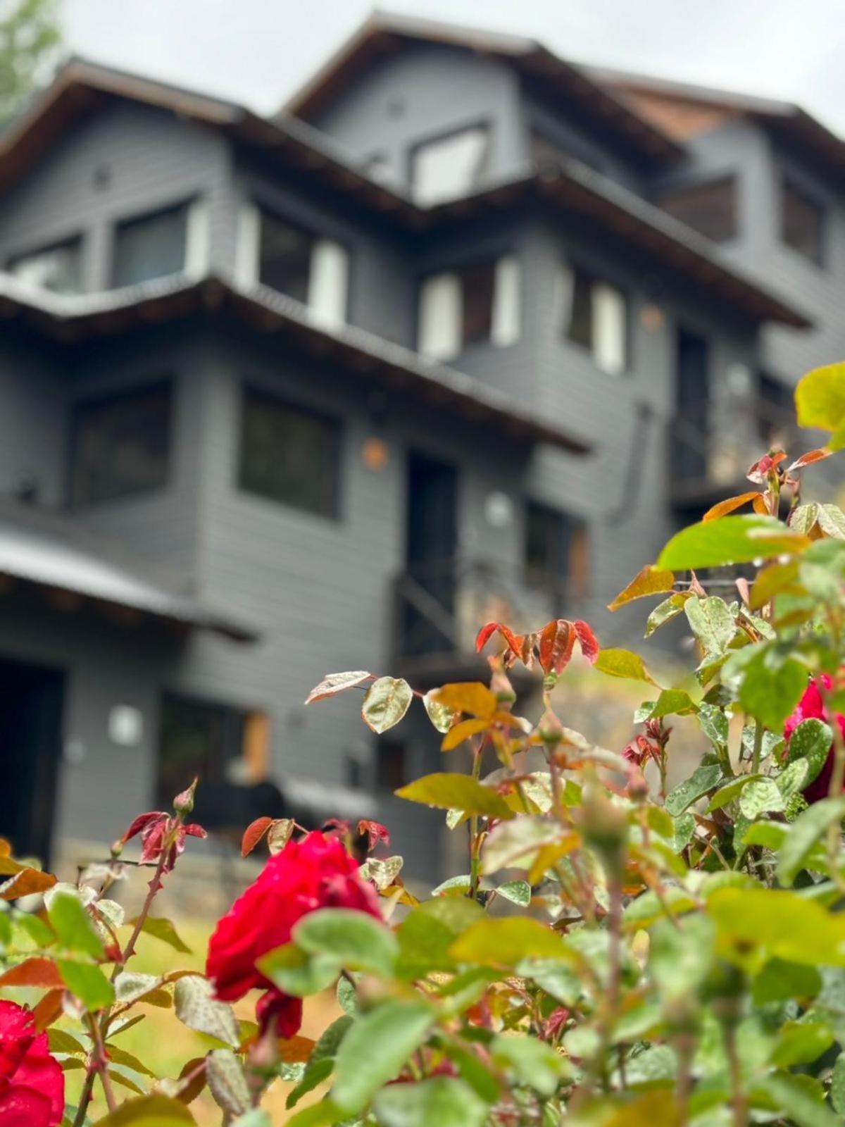 Huilen De Bandurrias Villa ซาน มาร์ติง เด ลอส อันเดส ภายนอก รูปภาพ